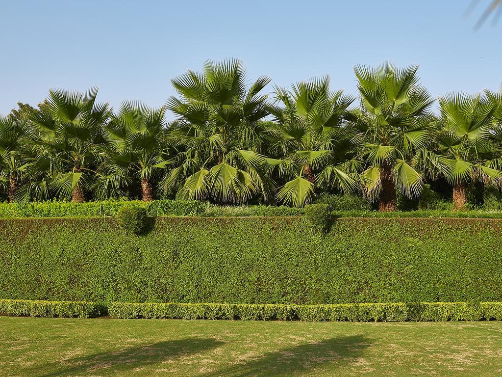 Club Mahindra Kandāghāt Exteriér fotografie